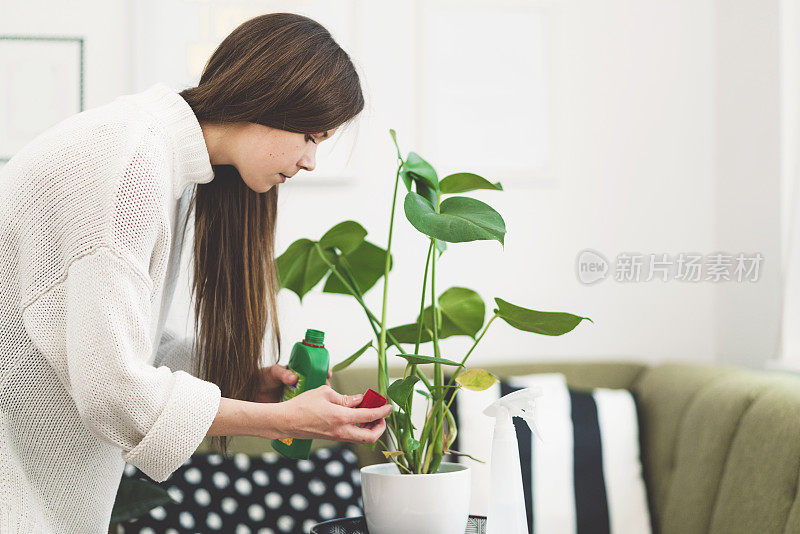 一名妇女正在用肥料种植室内植物