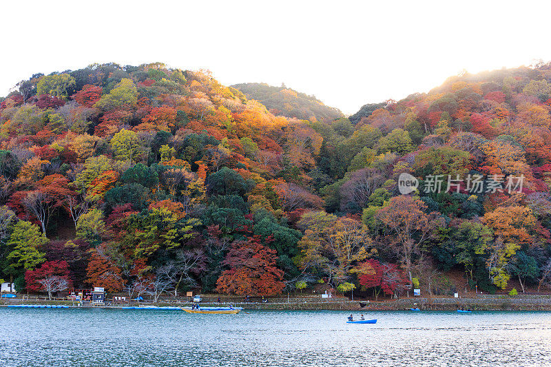 在秋日桂河沿岸的岚山森林景色中，船夫划着船。《京都议定书》