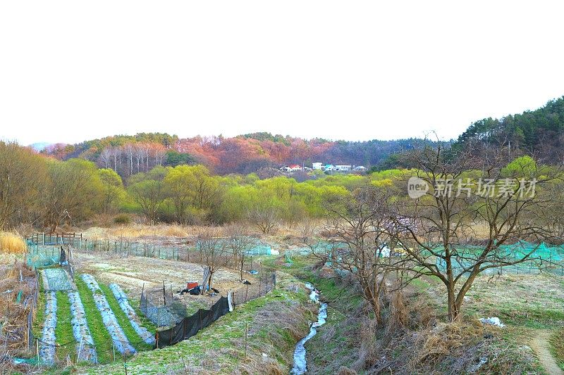 Daecheongho春天的风景