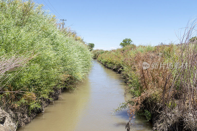 美国新墨西哥州西北部流经干旱农田的灌溉渠