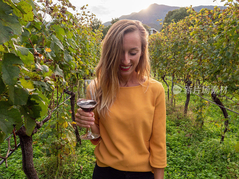 秋天，年轻女子在葡萄园品尝红酒