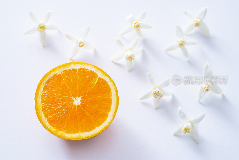 阿扎哈花橙色花和半切橙色水果在白色