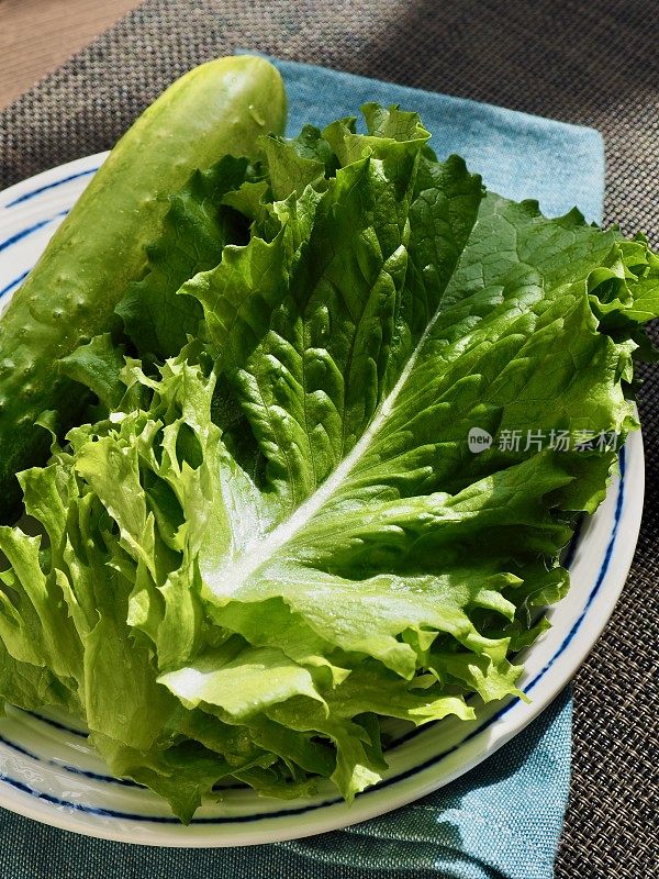 韩国新鲜有机蔬菜生菜黄瓜