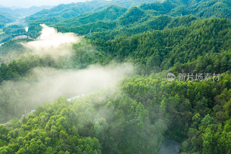 航拍的云海之间的山脉和森林