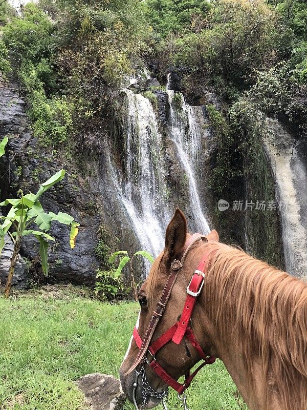 在瀑布中骑马