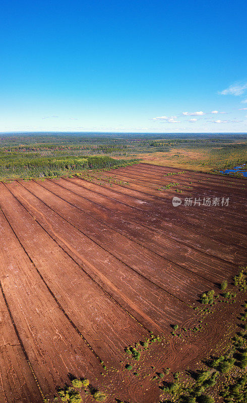 泥煤苔农场