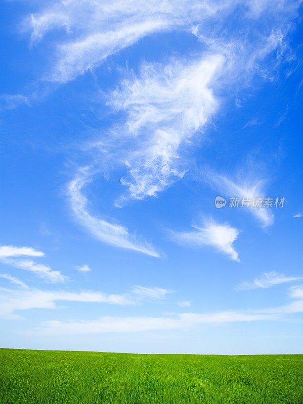 绿色的田野和蓝色的天空