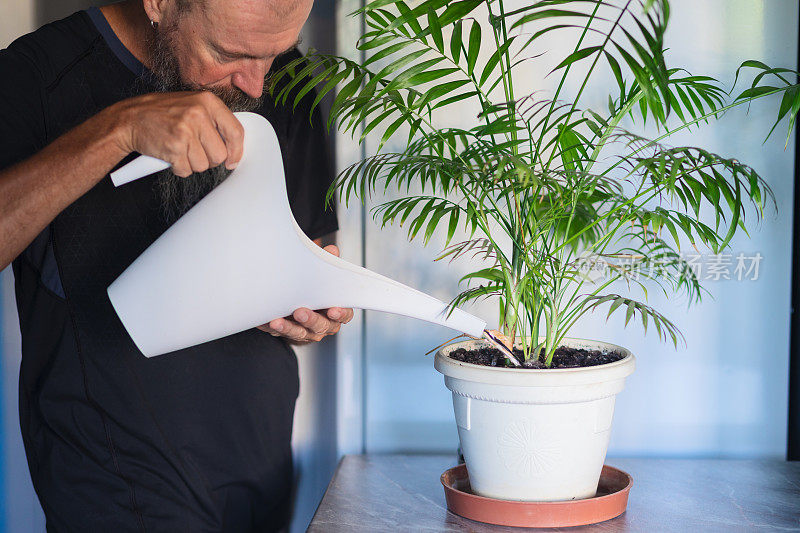 一个人在家给植物浇水