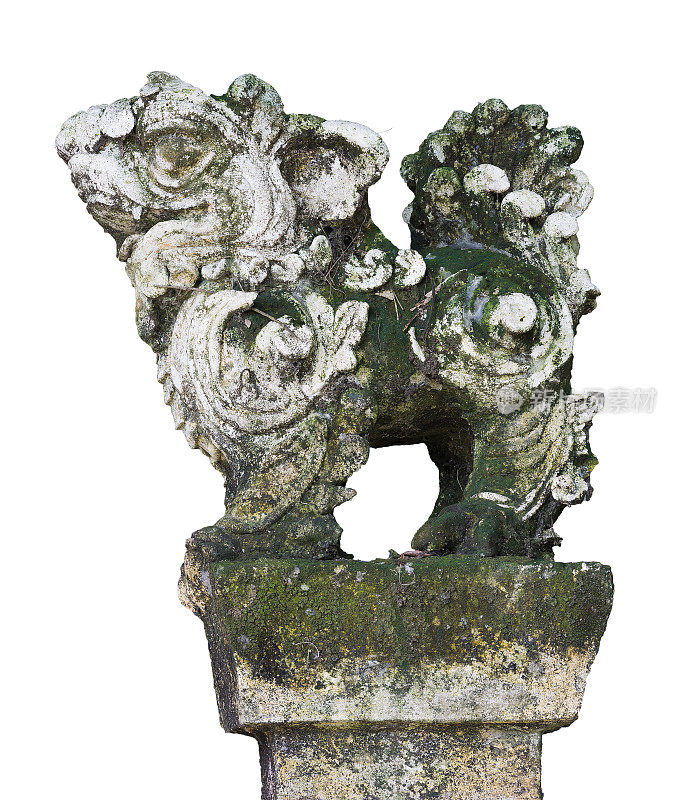 越南庙宇的石雕守护狮子雕像，孤立在白色背景上