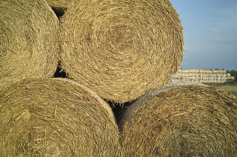 堆Haybales