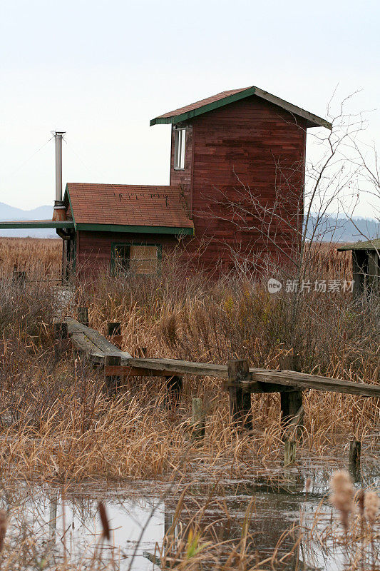 沼泽小屋