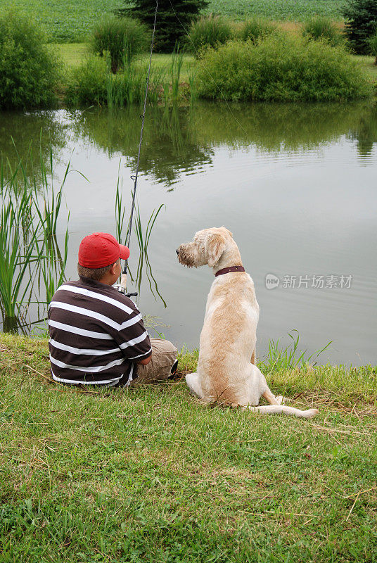 狗和男孩钓鱼