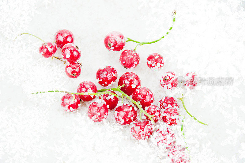 红莓和雪