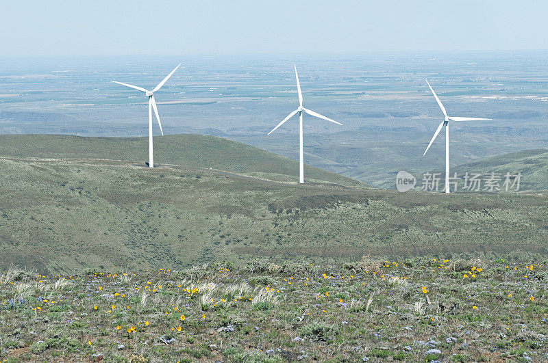 在西澳黑麦草山口的风力涡轮机