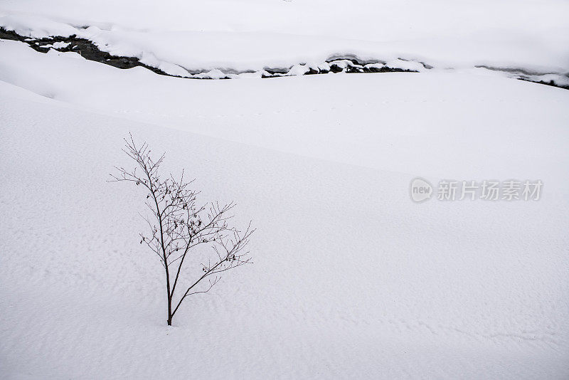 冰冷的山涧流过雪