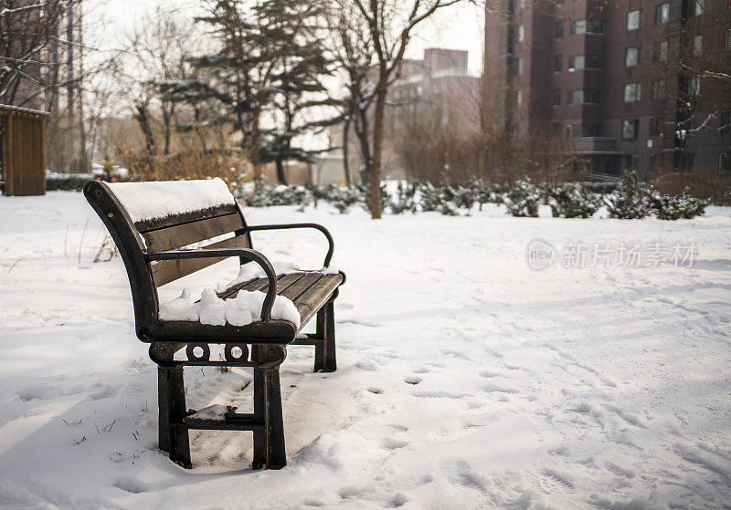 公园里覆盖着雪的木椅