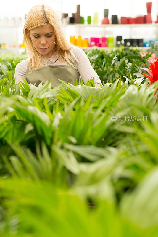 年轻的花匠在温室工作