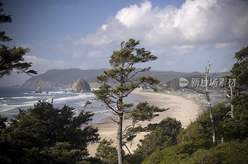 俄勒冈州坎农海滩的景色