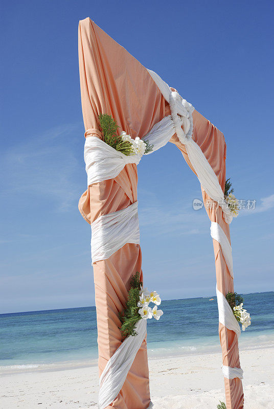 在热带的海滩上举行婚礼