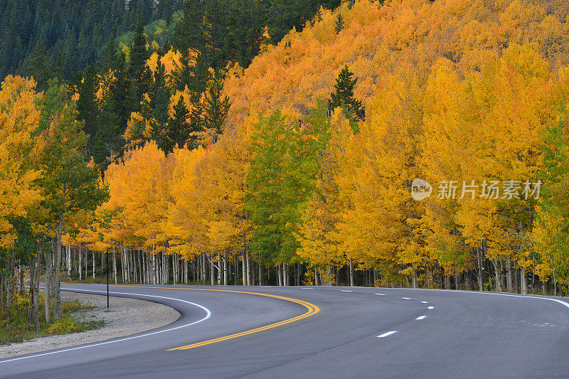 秋天穿过甘尼森国家森林的道路