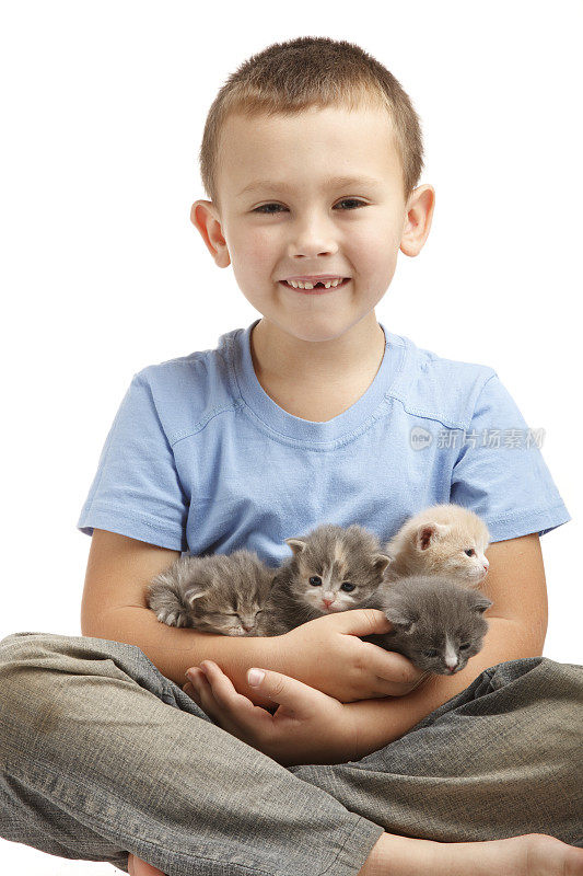 快乐的男孩抱着四只小猫