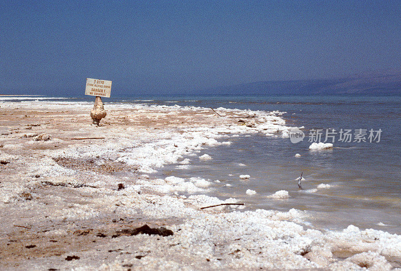 死海岸边的盐