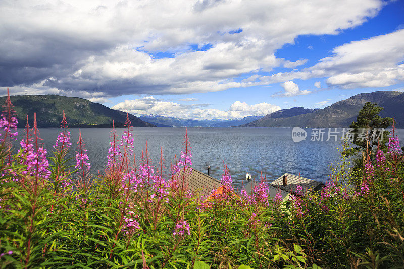 Hardangerfiord、挪威