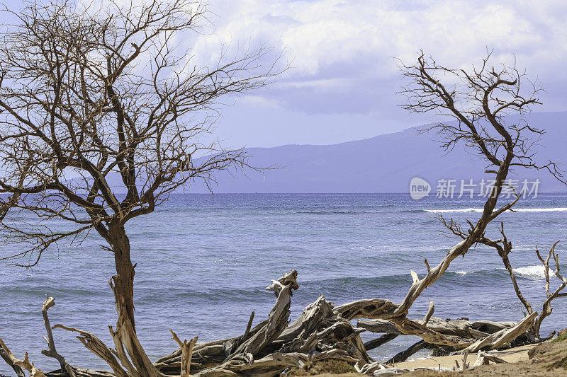 西毛伊岛海滩