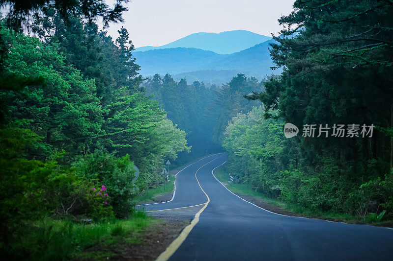 山间森林里的一条小路