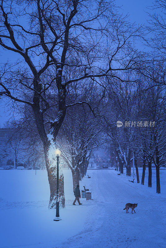 神奇时刻公园里的雪景。