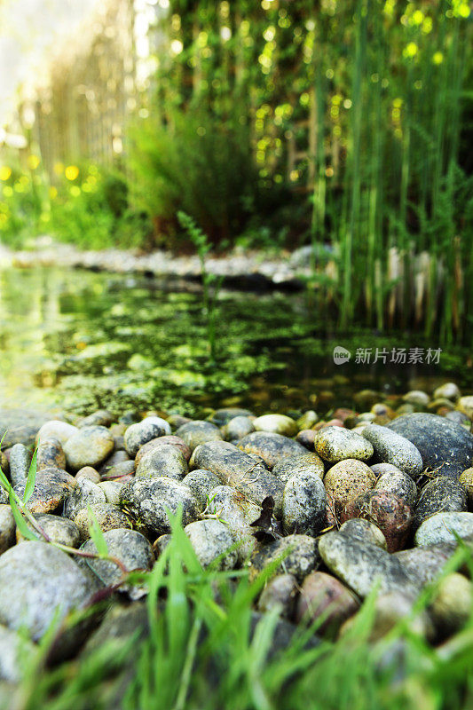花园池塘及卵石
