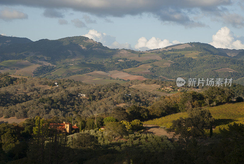 起伏的山丘，山谷和农场，加州索诺玛县