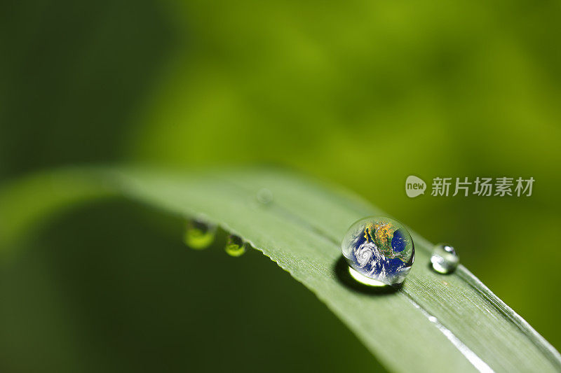 树叶与雨滴-恢复土地的概念