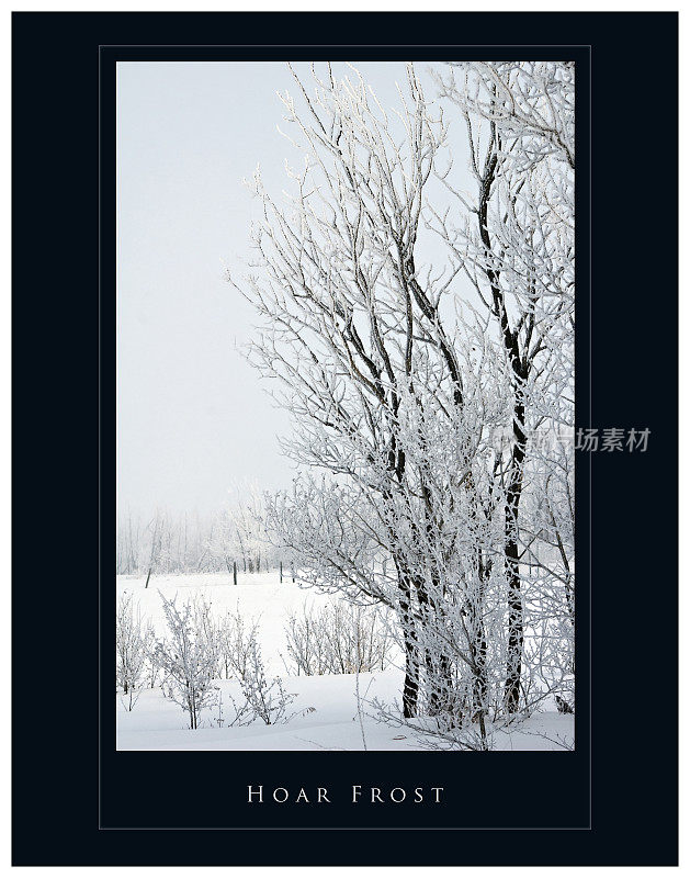 草原冬季场景海报与霜雪在树上