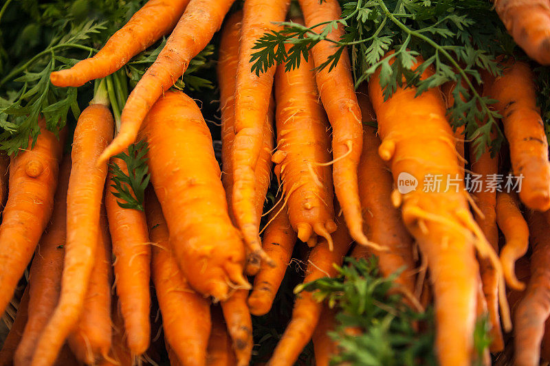 新鲜捆有机胡萝卜食物背景的极端特写