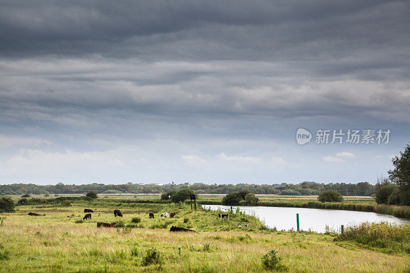 英格兰的诺福克是宽阔的河流，奶牛和暴风雨的天空