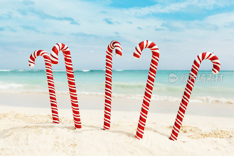 圣诞糖果手杖在热带加勒比白沙海滩特写