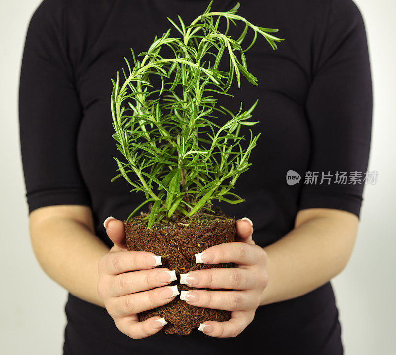 女人拿着植物