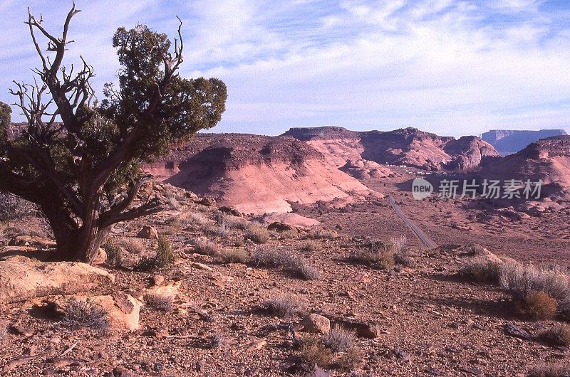 沙漠景观俯瞰窗户岩和纪念碑谷犹他州和亚利桑那州