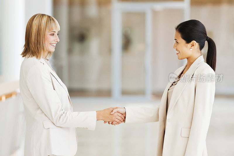交易――两个商业女性握手