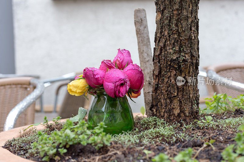 4月的一个雨天，德国南部一家咖啡馆的市花