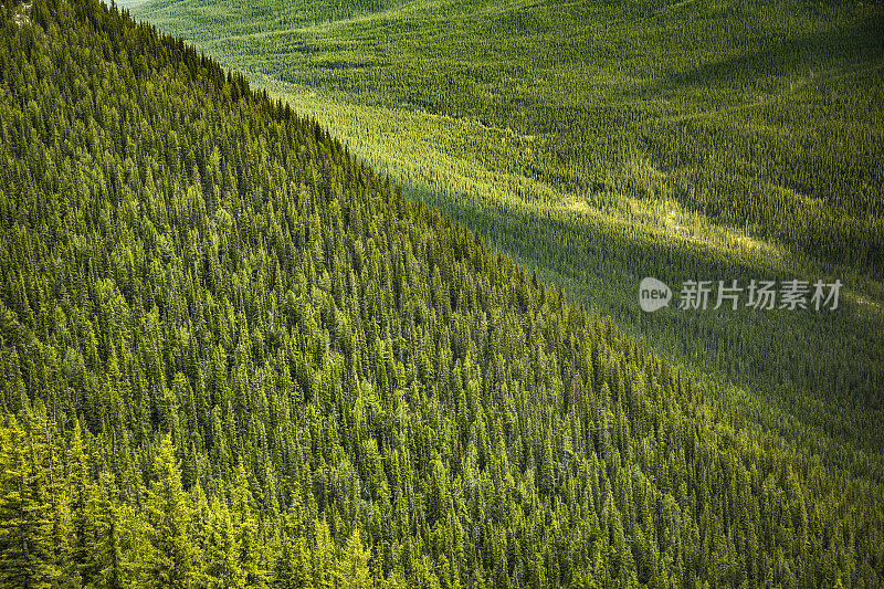 加拿大阿尔伯塔省班夫硫磺山的山景