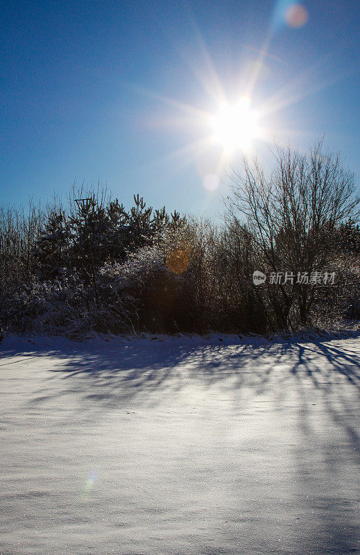 雪地里的阳光