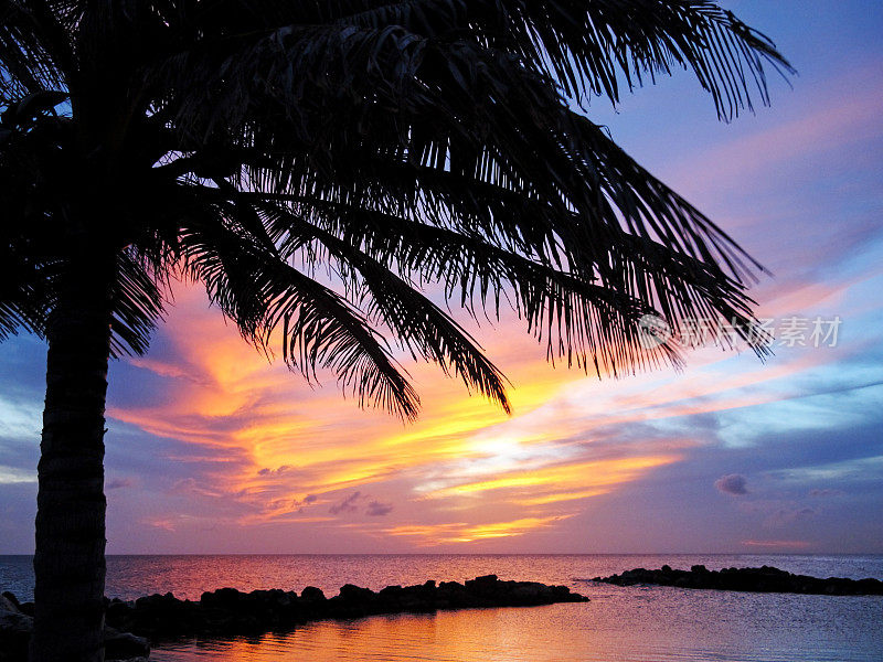 棕榈叶衬托着美丽的加勒比日落