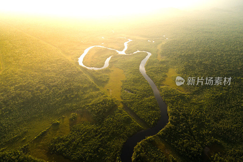 巴西热带雨林鸟瞰图