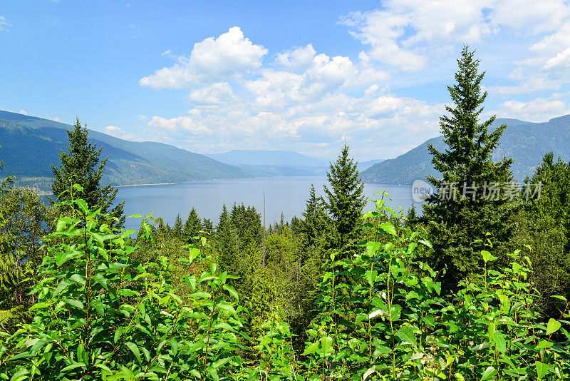 加拿大不列颠哥伦比亚省的舒瓦普湖