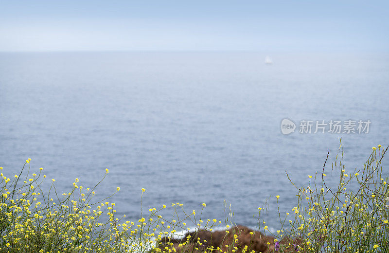 蔚蓝海岸海景