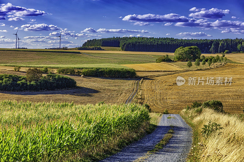 乡村景观中的乡村道路(HDRi)