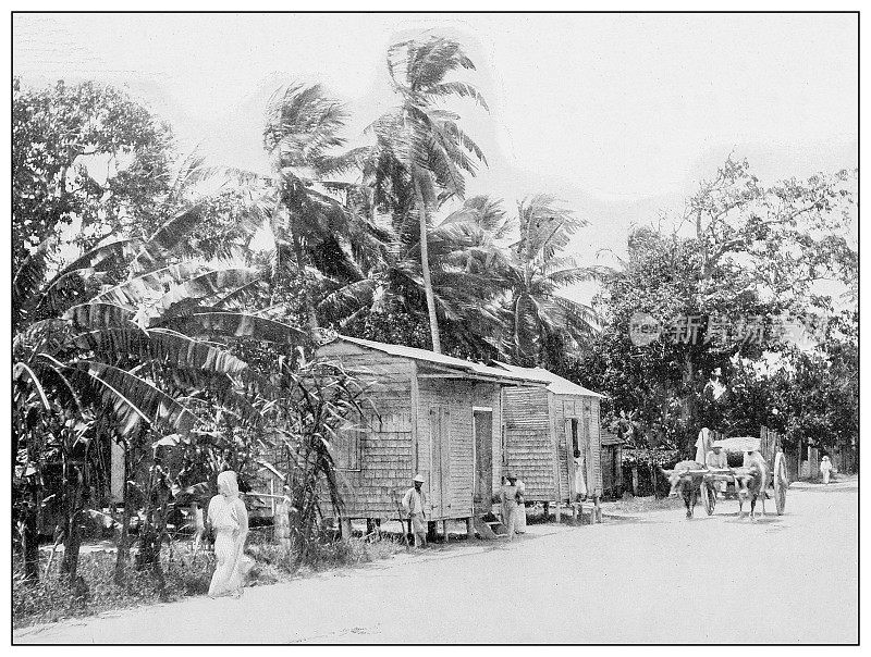 古董黑白照片:从庞塞到庞塞港，波多黎各