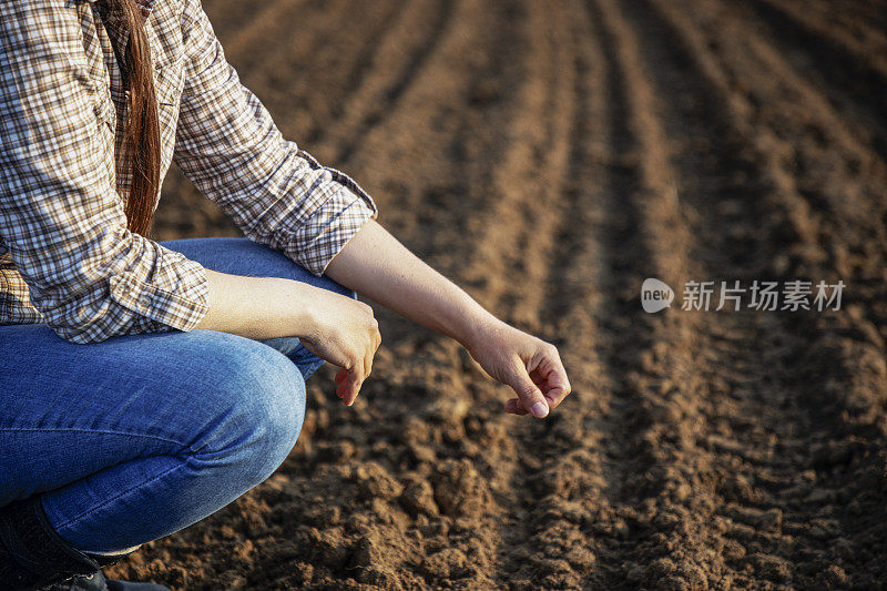 农民在一天工作结束后，播种后的双手触摸土壤。